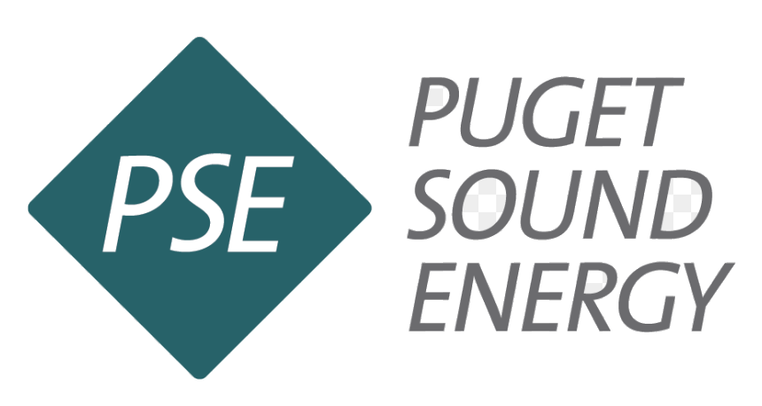 PSE logo