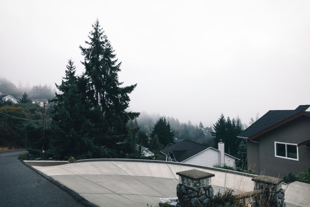 how your hvac system prevents mold in the northwest